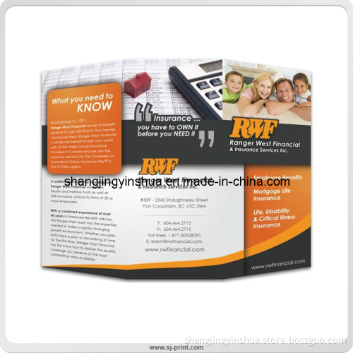 Tri Fold Paper Brochures Fashion Style Flyer (PB011)